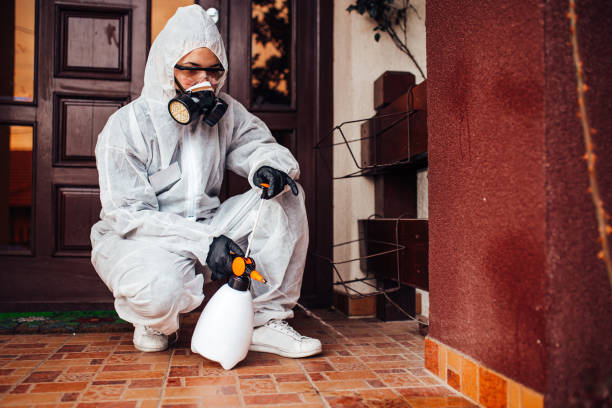 Reliable Cockroach Control contractor in Palos Heights, IL by Nex Pest Control