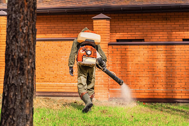 Trusted Cockroach Control service in Palos Heights, IL - Nex Pest Control